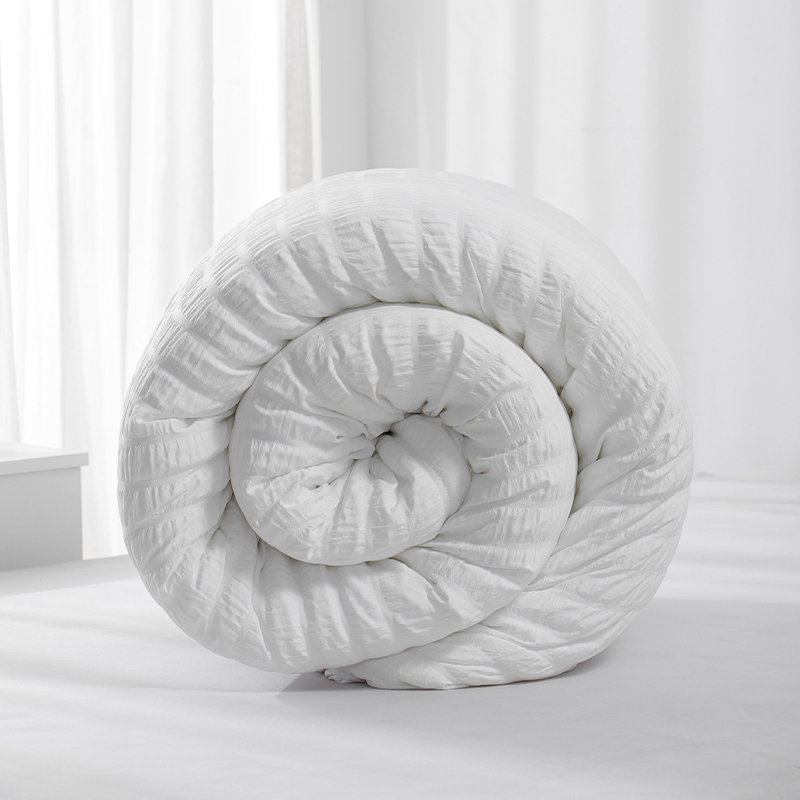 RUIKASI RKSDV-0285 Seersucker Quilt with 2 Pieces Pillowcase Design Bed Comfort Set White Comforter Set