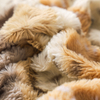 RKS-0082-F Printed PV Fleece Fabric 100% Poly