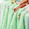 RKS-0347 Mideast Hotsale Window Bear Mink Blanket IRAQ Printed Embossed Baby Mink blanket 8 Color Option Baby Blanket 